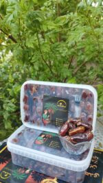 خرمای کبکاب ظرف کریستال 1/5 کیلوگرم - Image 2